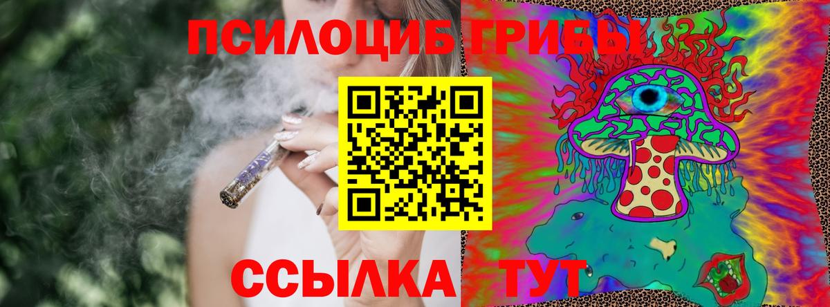 Куйбышев  Галлюциногенные грибы прущие грибы  Вход с VPN 